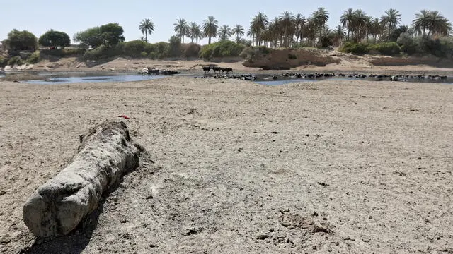 Rischio di desertificazione per 1 miliardo di persone | Giornale di Brescia