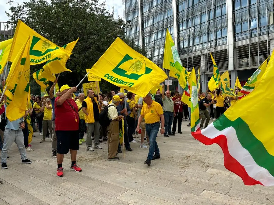 La manifestazione di Coldiretti a difesa delle campagne contro i cinghiali