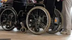 Anziani in sedia a rotelle in Trentino