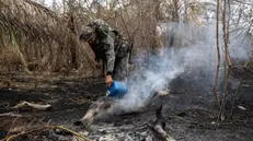 epa10987894 An Environmental policeman extinguishes a fire in the Brazilian Pantanal, in the city of Aquidauana, Brazil, on 20 November 2023 (issued 21 November 2023). The Brazilian Environmental Police are now searching for signs of animal life after fires raging in the Pantanal devastated large areas of the largest wetland on the planet. EPA/ISAAC FONTANA ATTENTION: This Image is part of a PHOTO SET