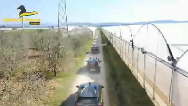 GDF #Livorno ha scoperto centinaia di lavoratori sfruttati in agricoltura dai titolari di tre aziende. #NoiconVoi