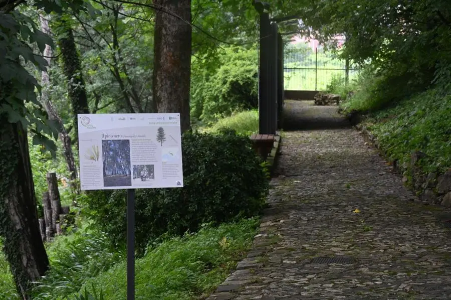 Il nuovo Parco della biodiversità a Brescia