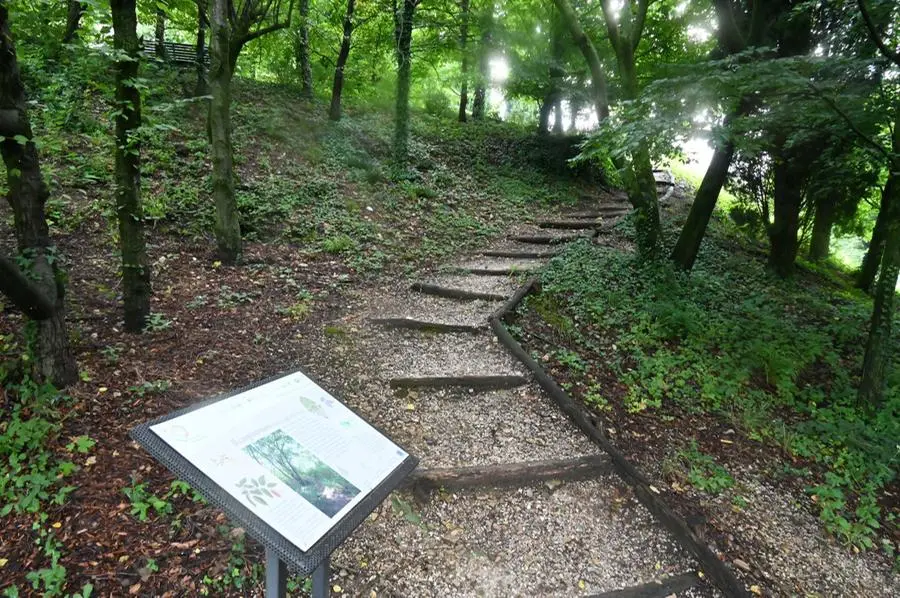 Il nuovo Parco della biodiversità a Brescia