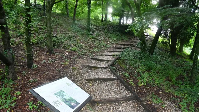 Il nuovo Parco della biodiversità a Brescia