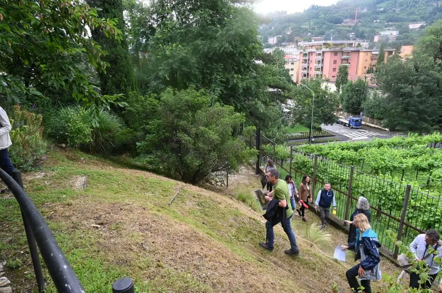 Il nuovo Parco della biodiversità a Brescia