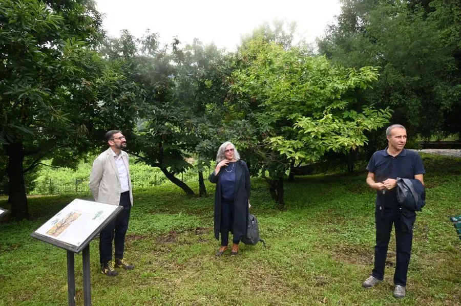 Il nuovo Parco della biodiversità a Brescia