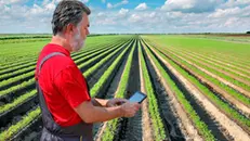 Con la tecnologia si gioca il futuro dell’agricoltura