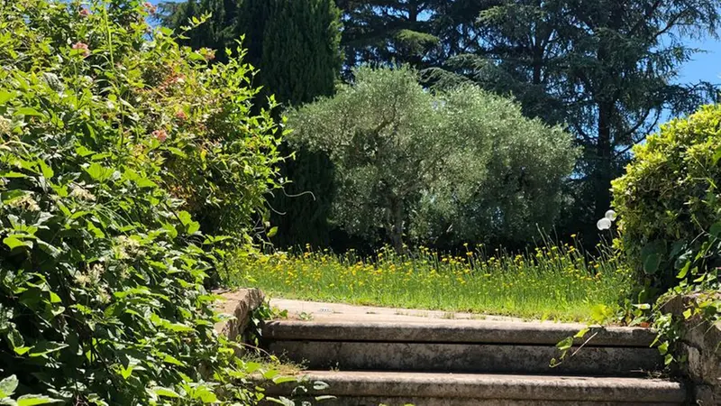 L'erba alta nel giardino di casa Bozzoli - © www.giornaledibrescia.it