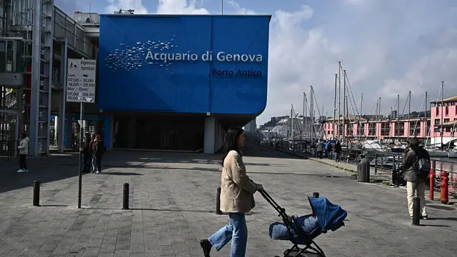 Code alla biglietterie dell'Acquario di Genova. Genova, 06 marzo 2023