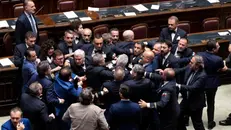 I deputati che sono venuti alle mani a Montecitorio hanno contribuito a screditare la politica - Foto Ansa/Percossi © www.giornaledibrescia.it
