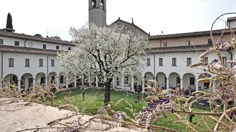 Il ciliegio in fiore al museo Diocesano di Brescia