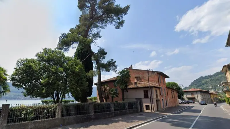 Il cipresso a Villa Tempini a Sale Marasino