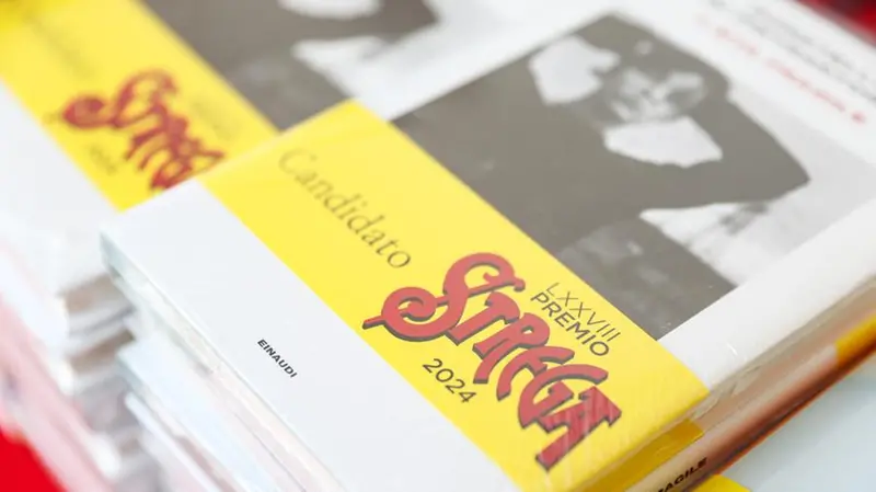 La copertina di L'età fragile di Donatella Di Pietrantonio - Foto New Reporter Comincini © www.giornaledibrescia.it