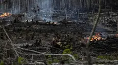epa10180073 People set fire to an area of the amazon forest zone in the Careiro Castanho, Brazil, 09 September 2022 (issued 12 September 2022). Deforestation and fires coexist, side by side, with the asphalting works of BR-319, the controversial Brazilian highway that is leaving a trail of devastation as it passes through the Amazon. EPA/Raphael Alves