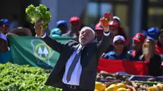 epa11455726 Brazil president Luiz Inacio Lula da Silva visiting a vegetable fair after the launching ceremony of the Safra Family Farming Plan 2024/2025, in front of the Palacio do Planalto in BrasÃlia, Brazil, 03 July 2024. EPA/Andre Borges