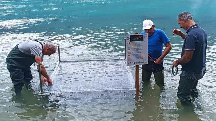 I pescatori posizionano le gabbie in acqua, in territorio di Riva, a ridosso del confine con Limone © www.giornaledibrescia.it