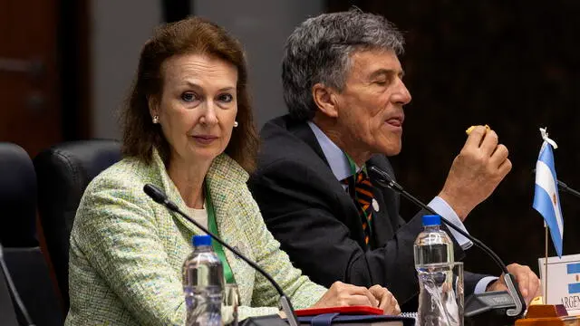 epa11465578 Argentina's Minister of Foreign Affairs, Diana Mondino (L), participates with the Foreign Ministers of the member countries of the Southern Common Market (Mercosur) in a meeting in Asuncion, Paraguay, 07 July 2024. The foreign ministers of the member countries of the Southern Common Market (Mercosur) began a meeting on 07 July before the summit of heads of state of the regional bloc. EPA/Antonio Lacerda