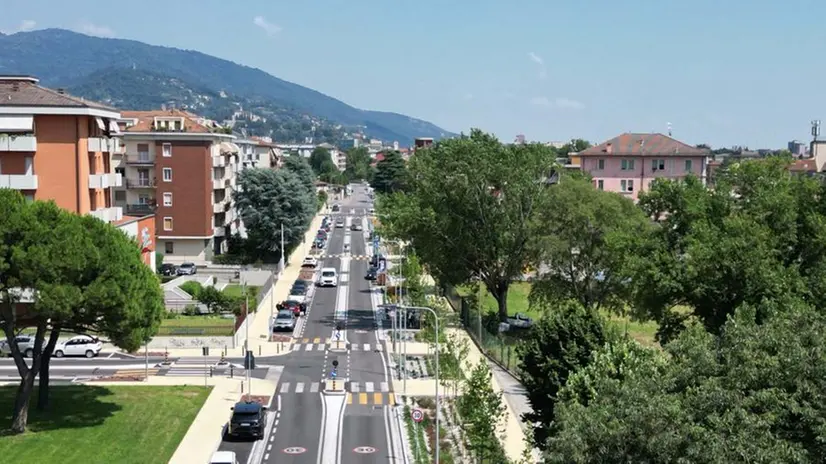 Via Metastasio più verde con il progetto «Un filo naturale»