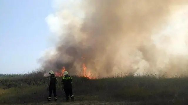 Un vigile del fuoco e un volontario della Protezione civile vicini all'area di canneto, sterpaglie e vegetazione dove è divampato un incendio. Si tratta della zona del vecchio faro di Fiumicino, non lontano dal comprensorio del Passo della Sentinella, alla foce del Tevere. Fiumicino 8Roma), 5 agosto 2017. ANSA/ DARIO NOTTOLA