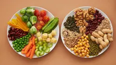 Indispensabile un piatto di verdura al giorno - Foto Pexels