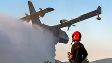 Canadair e mezzi dei vigili del fuoco in azione contro gli incendi boschivi