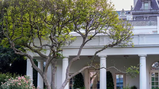 epa11479132 US President Joe Biden is seen through the Rose Garden while addressing the nation after former President Donald Trump was injured following a shooting at a July 13 election rally in Pennsylvania, in the Oval Office of the White House in Washington, DC, USA, 14 July 2024. Biden's address comes after Former US President Donald Trump was injured by a bullet in an assassination attempt on 13 July during a campaign rally. EPA/BONNIE CASH / POOL