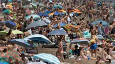 epa10762882 Hundreds enjoy the weekend at Malvarrosa beach, in Valencia, eastern Spain, 22 July 2023. A seasonal heatwave hit Spain with temperatures above 30 degrees Celsius in most parts of the country. EPA/KAI FORSTERLING