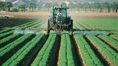 Nella nostra provincia sono 13mila i lavoratori agricoli interessati dal rinnovo del contratto - © www.giornaledibrescia.it