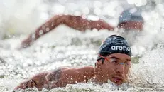 epa04353180 Federico Vanelli from Italy competes in the men's 10km Open Water final during the 32nd LEN European Swimming Championships 2014 at the Gruenau course in Berlin, Germany, 14 August 2014. EPA/TIM BRAKEMEIER