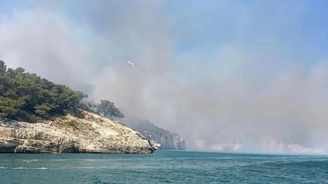 L'incendio nel bosco che sovrasta la baia San Felice a Vieste, sul Gargano, 24 luglio 2024. ANSA/Franco Cautillo
