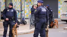 epa10923189 Belgian police officers with dogs secure the area where the gunman is neutralised in Brussels, Belgium, 17 October 2023. A man, suspected of killing two Swedish football supporters on 16 October, was shot by the Police during an operation and has died, Belgian Police said. Following the incident, the Brussels Capital Region has increased its terror threat to level 4, the highest, the National Crisis Center announced. EPA/OLIVIER MATTHYS