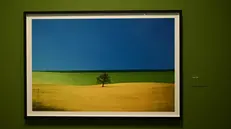 «Franco Fontana. Colore». «Puglia, 1987», una delle opere del maestro in mostra a Santa Giulia - New Reporter Favretto © www.giornaledibrescia.it