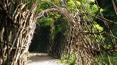 Il Ponte di San Vigilio, opera d’arte naturale in rami di castagno di Giuliano Mauri