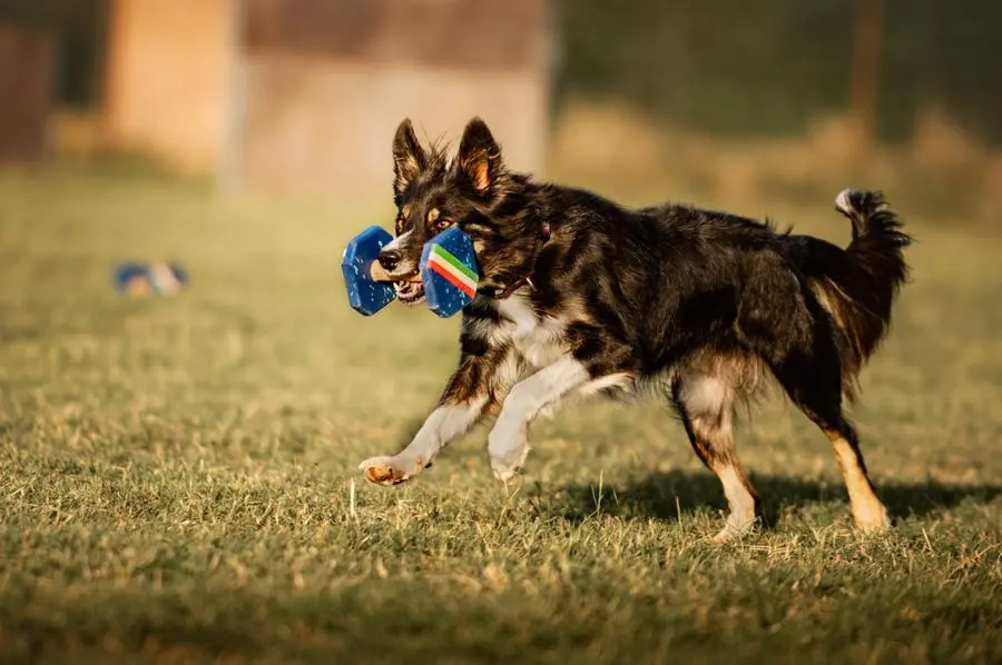 Emiliana Cirelli e la sua cagnolina Maze