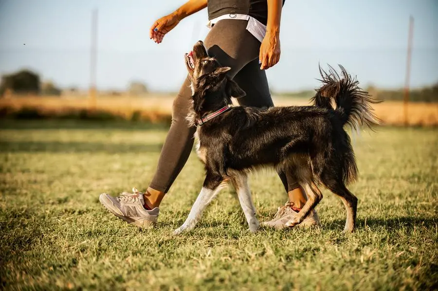 Emiliana Cirelli e la sua cagnolina Maze