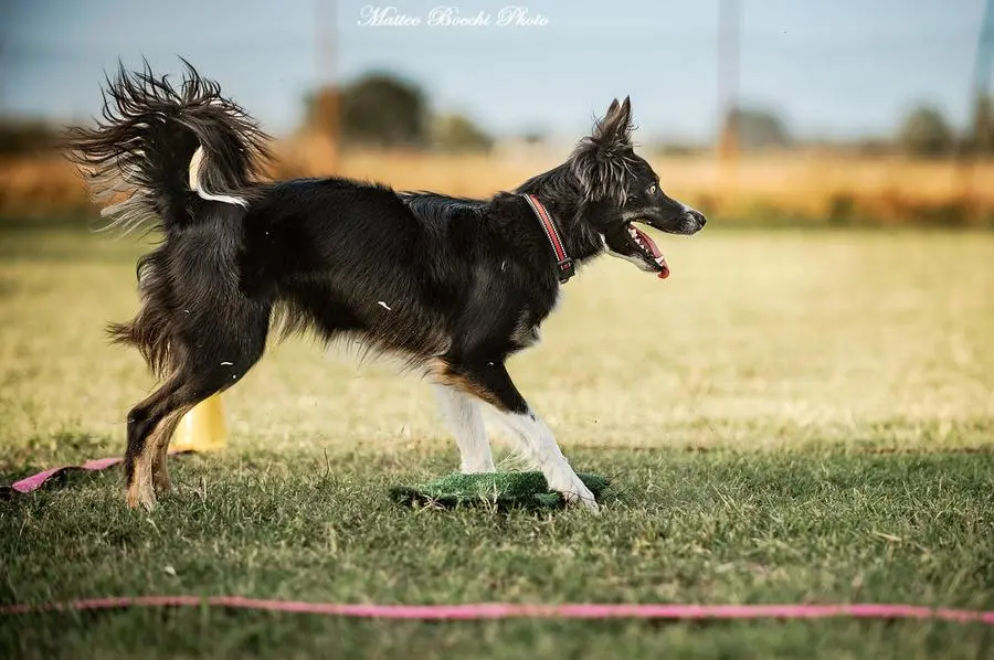 Emiliana Cirelli e la sua cagnolina Maze