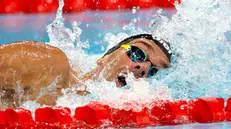 epa11525856 Gregorio Paltrinieri of Italy competes in the Men 1500m Freestyle final of the Swimming competitions in the Paris 2024 Olympic Games, at the Paris La Defense Arena in Paris, France, 04 August 2024. EPA/MAST IRHAM