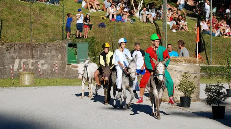 Una passata edizione del palio degli asini di Mura - Foto © www.giornaledibrescia.it