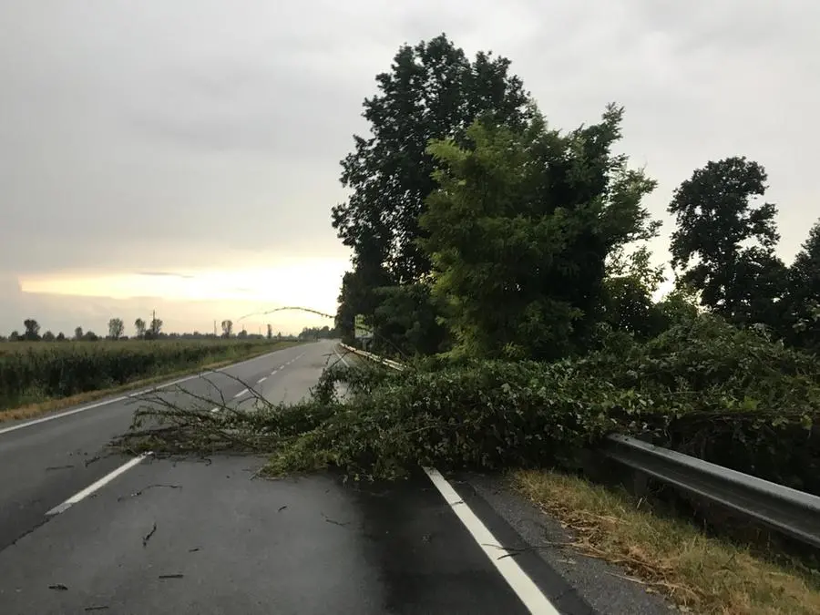 La Protezione civile al lavoro a Carpenedolo per il maltempo