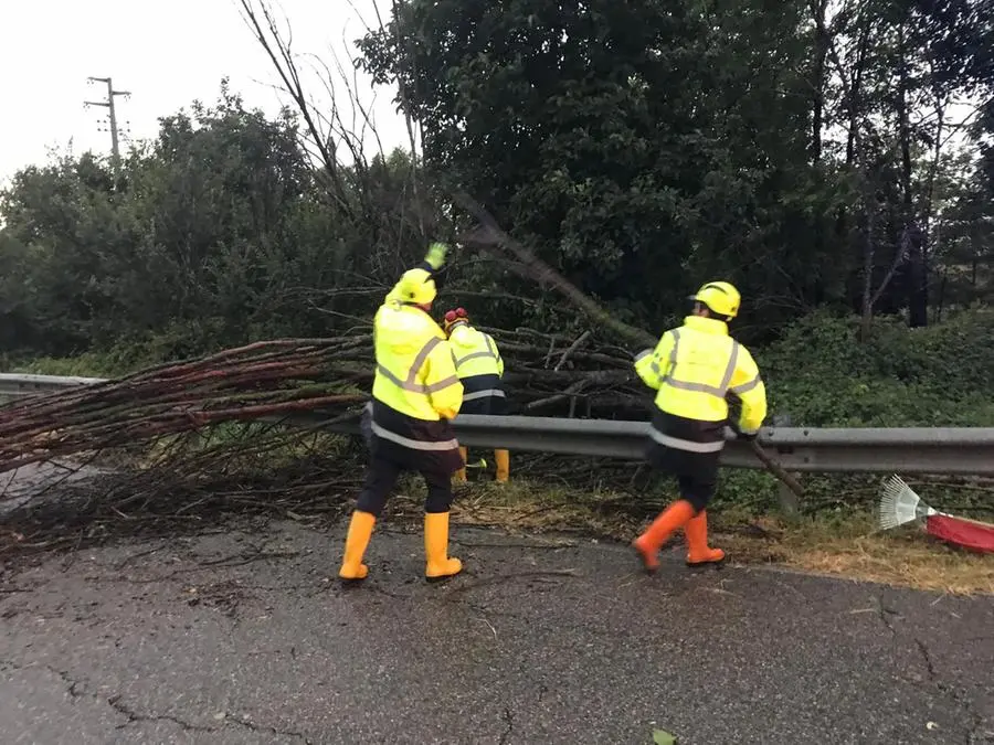 La Protezione civile al lavoro a Carpenedolo per il maltempo