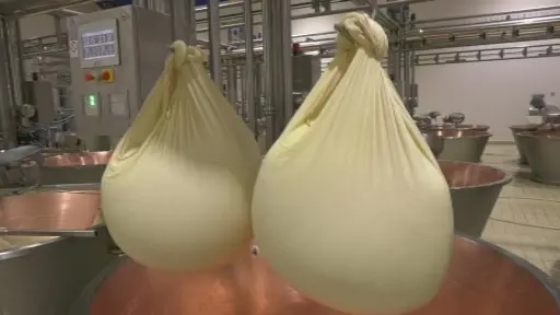 Come nasce il Grana Padano: le forme gemelle © www.giornaledibrescia.it