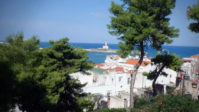 Vieste, nel promontorio del Gargano (Foggia) veduta del paese e del faro GIUSEPPE GIGLIA/ANSA