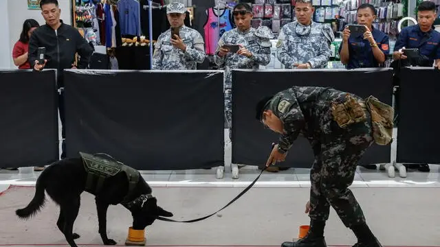 epa11187943 Working dog 'Storm', a 1-year-old Belgian Malinois, performs an exercise to locate illegal substances as his handler, Philippine National Police Patrolman Jay Reandelar looks on, during the capabilities exhibition of the 1st National K9 Summit in Tagaytay City, south of Manila, Philippines, 29 February 2024. The summit aims to standardize and regulate trainings in government and non-government agencies, and improve K9 techniques in search, rescue, retrieval operations, and identification of contraband and illegal substances as part of law enforcement protocols. EPA/ROLEX DELA PENA