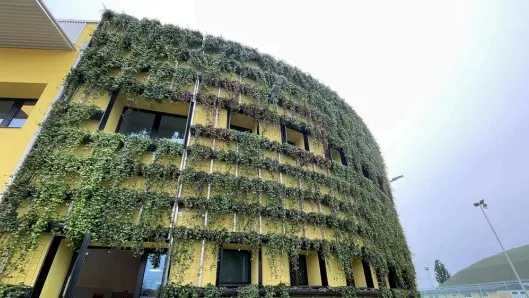 Il nuovo volto del Gigli di Rovato