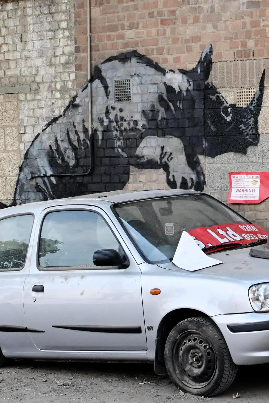 Gli animali di Banksy spuntati a Londra negli ultimi giorni