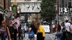 Gli animali di Banksy spuntati a Londra negli ultimi giorni