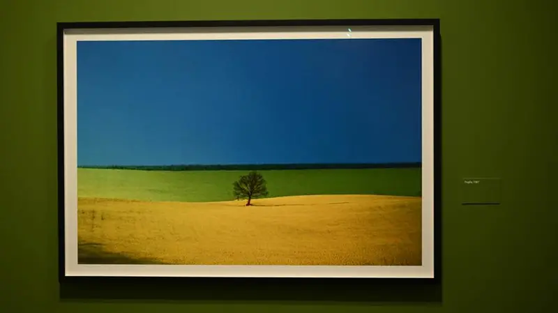 La foto iconica per la mostra «Franco Fontana. Colore» - © www.giornaledibrescia.it