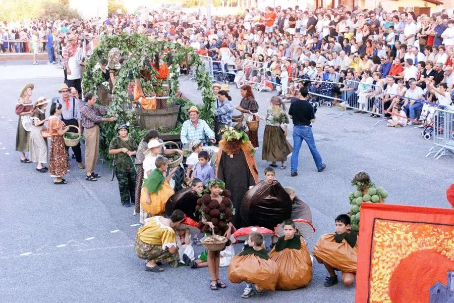 Il Palio degli Asini di Novagli