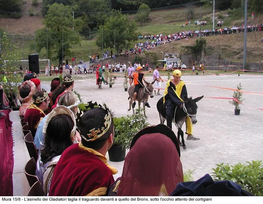 Il Palio degli Asini di Mura