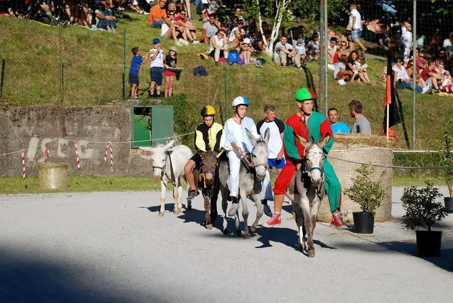 Il Palio degli Asini di Mura